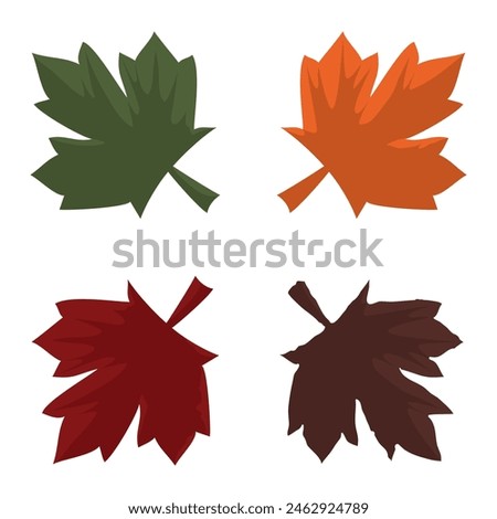 Four different colored maple leaves for the different seasons and life cycle.