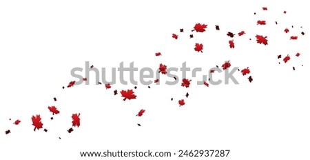 Abstract design with red maple leaves floating in the air on white background.