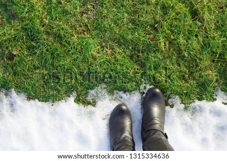 Foto Bild Frühling trifft Winter, Frühlingsheide mit Neuschnee bedeckt, Österreich