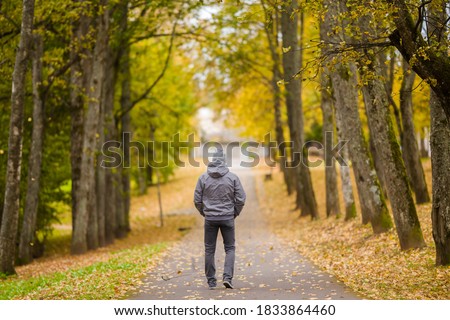 Young man in gray warm clothes slowly walking through alley of trees in yellow autumn day at park. Spending time alone in nature. Peaceful atmosphere. Back view. 