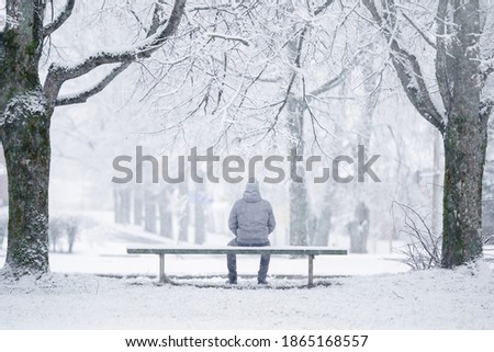 Similar – Image, Stock Photo snow bench Snow Winter