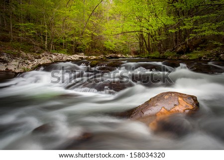 Lush green flowing stream in the Great Smoky mountains National Park