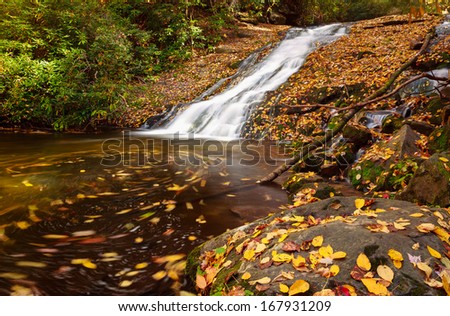 Waterfall covered with autumn leaves and swirling in he pool, smoky mountains national park