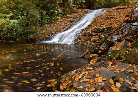 Indian Creek Falls, the great smoky mountains national park.  Autumn colors.