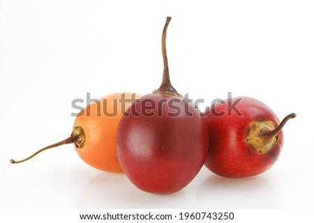 Similar – Image, Stock Photo Historically grown 3