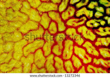 Grunge abstract background of cell like structures and bubbles on a orange yellow background