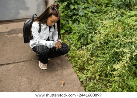 Similar – Image, Stock Photo the early shell catches the crustacean