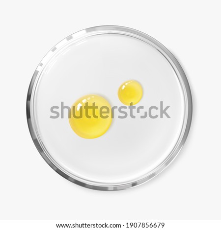 Two oil serum drops on petri dish isolated on white background realistic vector illustration, top view. Concept laboratory tests and research. Transparent chemistry glassware