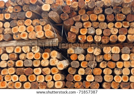 Stack of wood showing wood texture on cutting edge