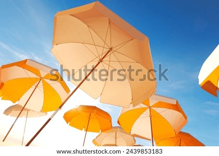 Similar – Image, Stock Photo orange parasol with blue sky