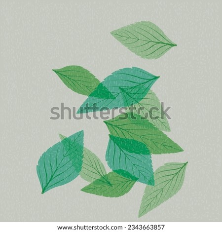Peppermint leaves falling transparent with riso print effect vector illustration.