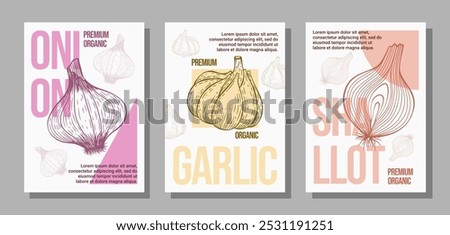 Set of Hand Drawn Posters Showcasing Vintage Illustrations of Onion, Garlic, and Shallot. Background visuals designed for covers, banners, and posters.