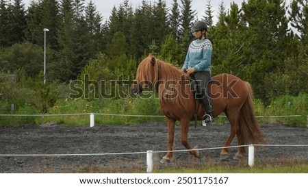 Similar – Image, Stock Photo Icelandic horse chestnut