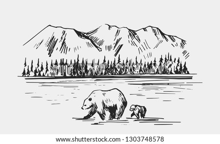 Wild natural landscape with bears in the river. Alaska region. Hand drawn illustration converted to vector.  