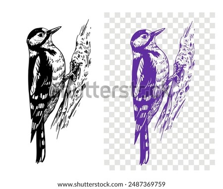 Similar – Image, Stock Photo Great spotted woodpecker on tree trunk