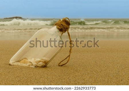 Similar – Image, Stock Photo Beach_Snailhouses_Eurchins