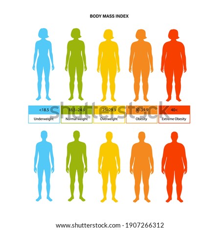 Body mass index poster. Woman and man silhouettes with obese normal and slim fit. BMI ranges from overweight to underweight infographic. People with different metabolism and weight vector illustration