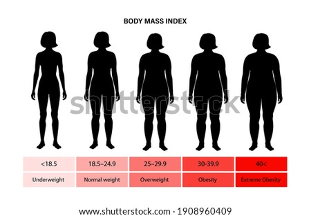 Bmi 20 female