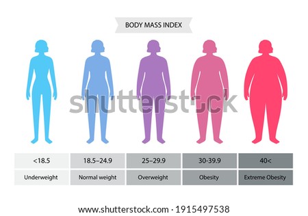 Body mass index poster. Woman silhouettes with obese, normal and slim fit. BMI ranges from overweight to underweight female person. Adult people with different weight and fat level vector illustration