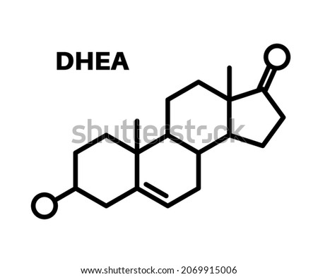 Androstenone or dehydroepiandrosterone chemical formula logo. Neurotransmitter and human hormones in brain, medical poster isolated flat vector illustration, dhea steroid concept.