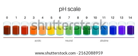 pH scale diagram, measure how acidic or alkaline an aqueous solution is. The range from 0 to 14, with 7 being neutral. pHs of less than 7 are acidity, greater than 7 are base. Colorful chart vector.