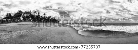 Panorama Bali Indonesia Beach ocean beach sand palm trees black and white landscape sky clouds