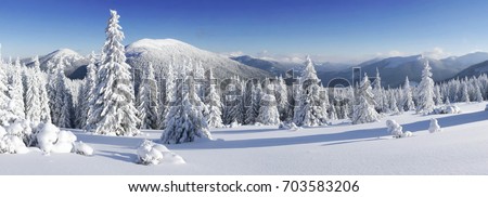 Similar – Image, Stock Photo Magnificent view the coniferous forest on the mighty Carpathians Mountains and beautiful cloudy sky background. Beauty of wild virgin Ukrainian nature, Europe. Popular tourist attraction.