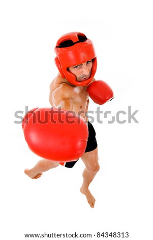 Top view of young Boxer fighter with boxing helmet and gloves over white background