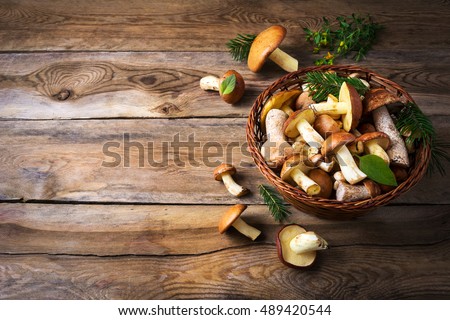 Similar – Foto Bild Frische Champignons in Weidenschale