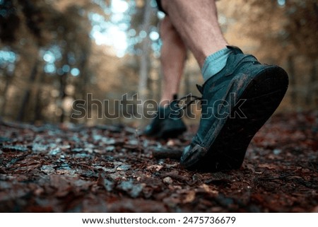 Similar – Image, Stock Photo Forest trail in autumn