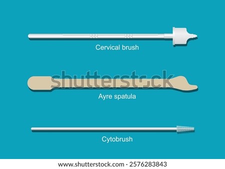 Cervical Cancer Screening, Pap Smear ( Pap Test), Thin prep, Thin Prep Plus Cervista HPV DNA Testing, cervical brush, ayre spatula and cytobrush isolated on white background,vector illustration.