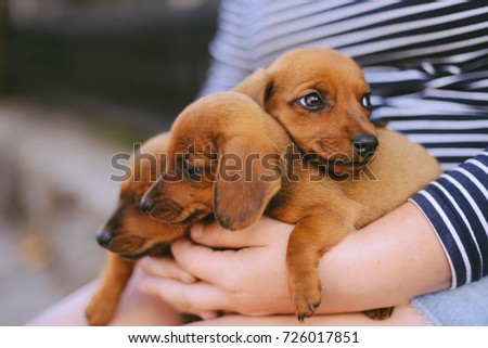 Shutterstock Puzzlepix