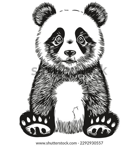 Cute Panda on white background, hand draw illustration Pandas
