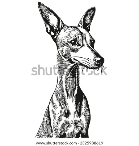 Greyhound Line Drawing | Free download on ClipArtMag