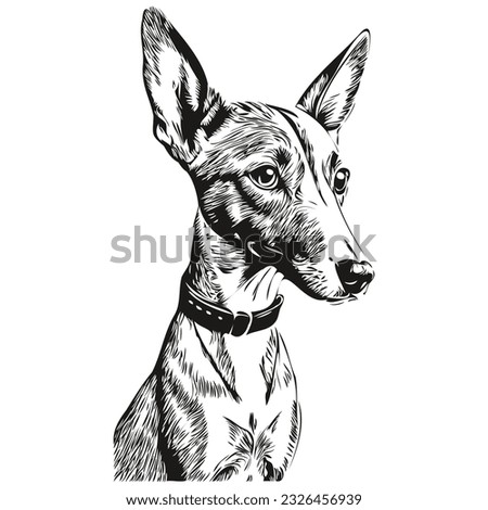 Greyhound Line Drawing | Free download on ClipArtMag