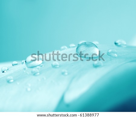 Beautiful water drop on a blue background