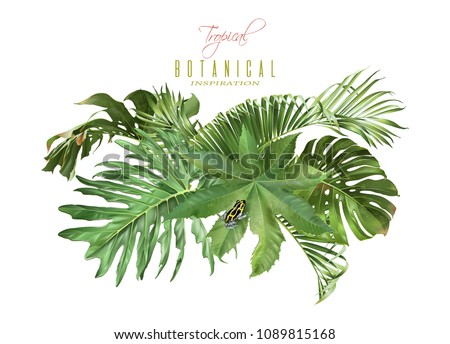 Vector tropical leaves composition with little frog on white background. Exotic botanical design for cosmetics, spa, perfume, health care products, aroma, wedding invitation. With place for text