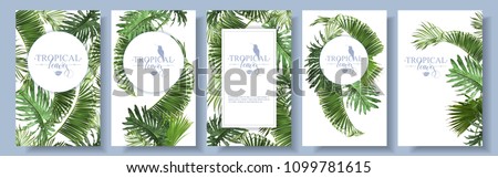Vector tropical leaves banners set on white background. Exotic botanical design for cosmetics, spa, perfume, health care products, aroma, wedding invitation. With place for text