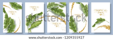 Vector tropical banners set. Banana leaf with gold splash on white background. Exotic botany for cosmetics, spa, perfume, health care products, aroma, tourist agency. Best as wedding invitation design