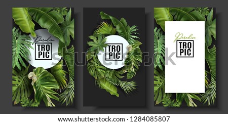 Vector banners set with green tropical leaves on black background. Exotic botanical design for cosmetics, spa, perfume, beauty salon, travel agency, florist shop. Best as wedding invitation cards