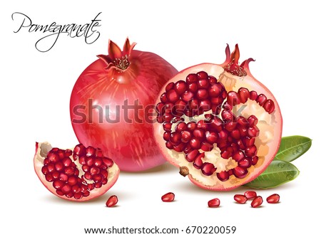 Vector realistic illustration of pomegranate fruits group isolated on white background. Design element for cosmetics, spa, pomegranate juice, health care products, perfume.