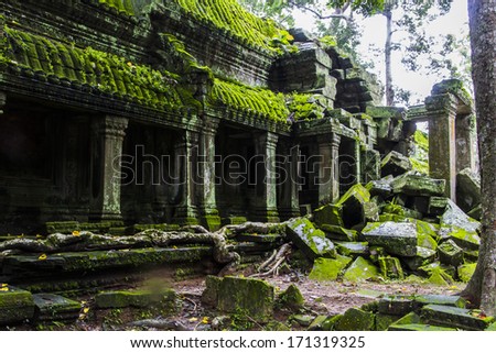 the temple of Ta prohm, made famous by tomb raider