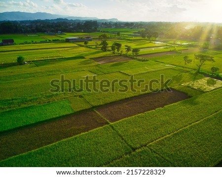 Similar – Image, Stock Photo sunset over agricultural fields near Bergheim