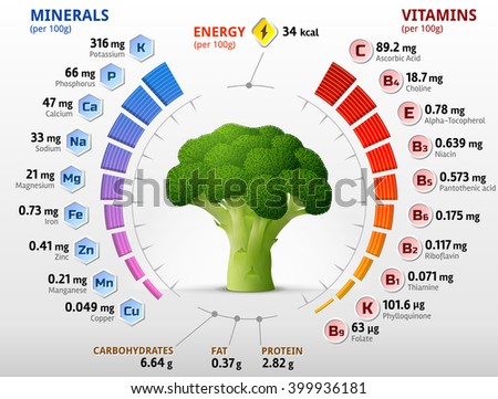 Vitamins and minerals of broccoli flower head. Infographics about nutrients in broccoli cabbage. Qualitative vector illustration about broccoli, vitamins, vegetables, health food, nutrients, diet, etc