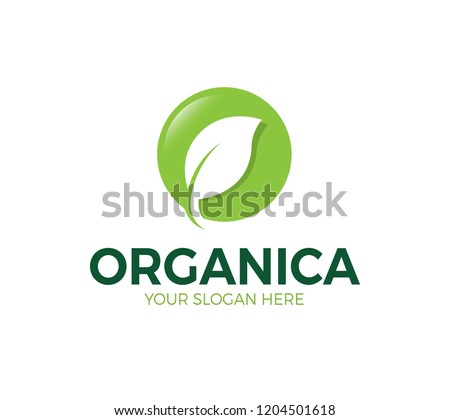 O Letter Leaf  Logo