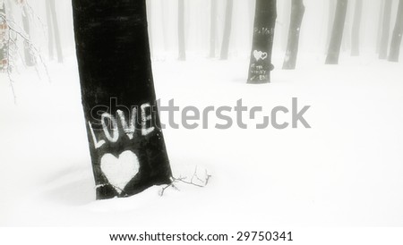 beautiful winter mood,heart and love written on a tree