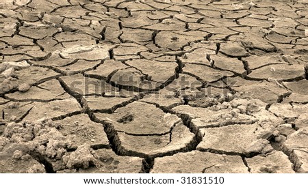 Cracked, parched land after a drought, animal footprint