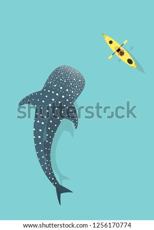 Whale shark and Kayak isolated on Blue sea background. Kayaking with Whale Shark (rhincodon typus).