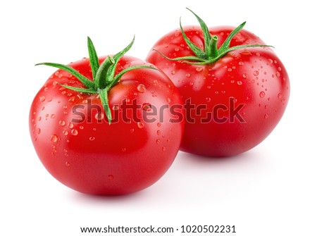 Tomatoes isolated on white. Tomato with drops. Full depth of field. Сток-фото © 