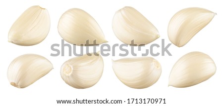 Garlic white background. Garlic cloves on white. Garlic clove isolated. White garlic. Set. Сток-фото © 